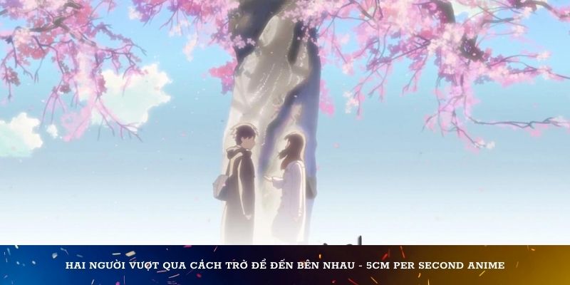 Hai người vượt qua cách trở để đến bên nhau - 5cm per second anime